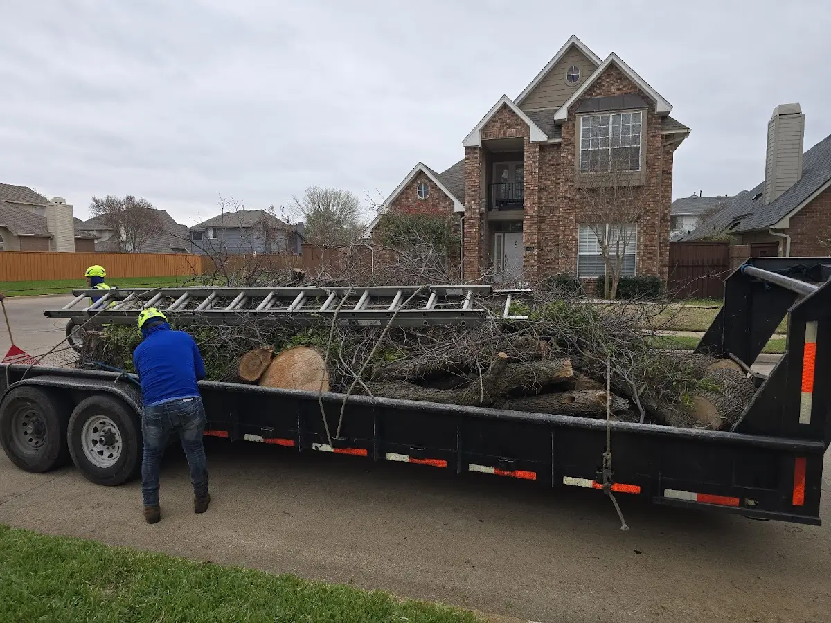 Expert Lot Clearing with proper safety equipment in Arverne